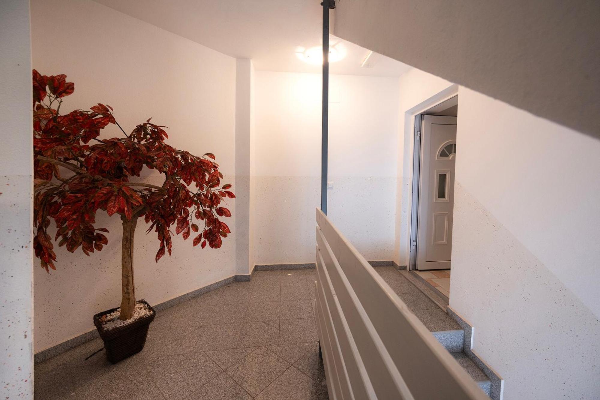 Grom Ribno Apartments ブレッド エクステリア 写真